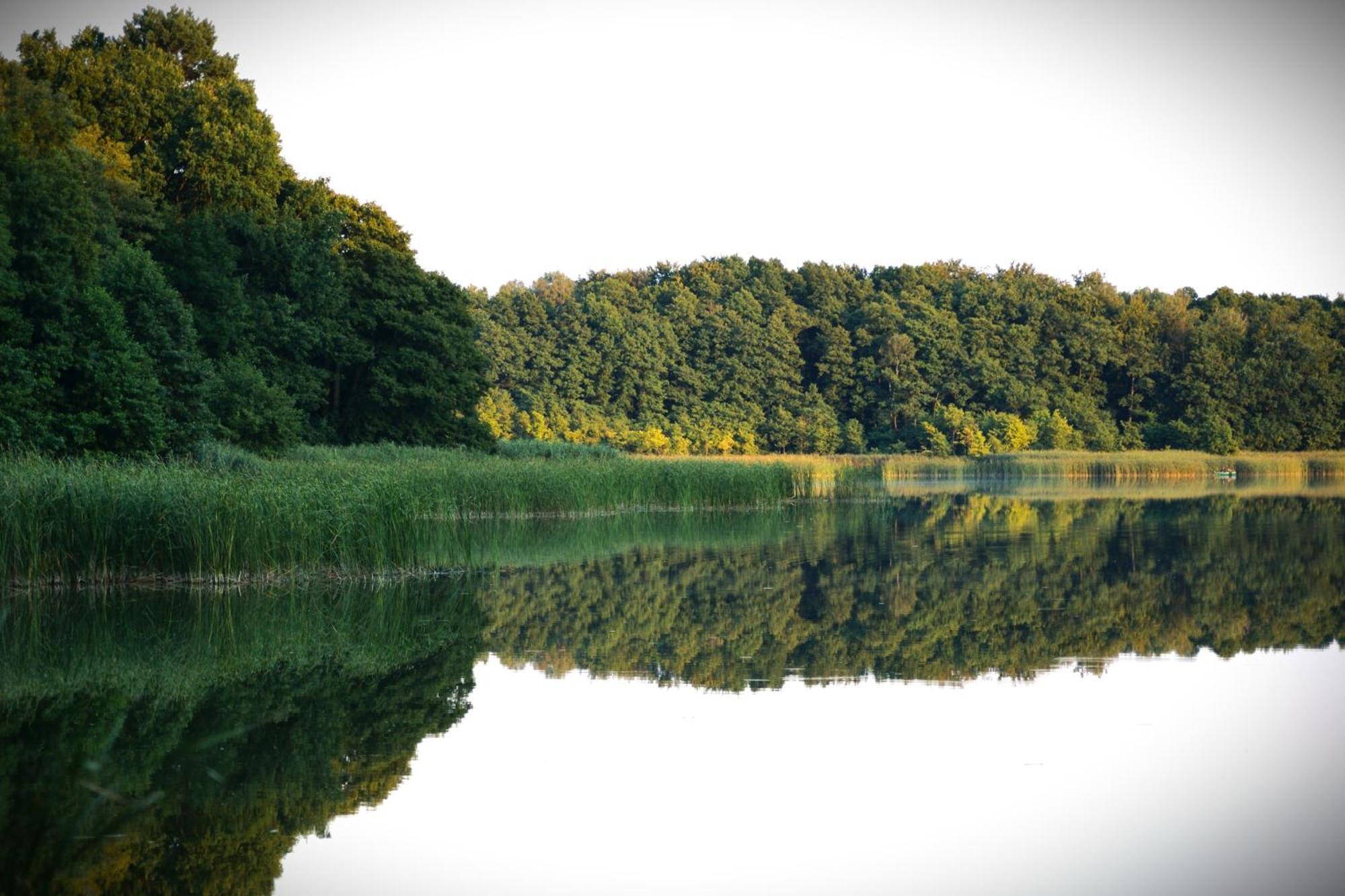 Wrzosowy Mlyn - Twoje Miejsce Nad Jeziorem Miedzyrzecz Exterior photo
