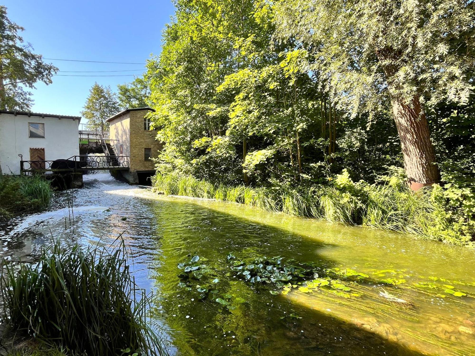 Wrzosowy Mlyn - Twoje Miejsce Nad Jeziorem Miedzyrzecz Exterior photo
